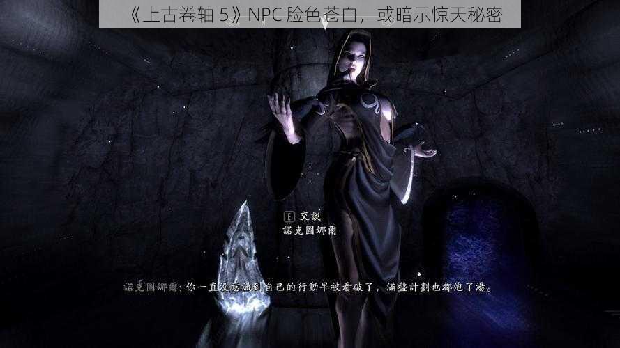 《上古卷轴 5》NPC 脸色苍白，或暗示惊天秘密