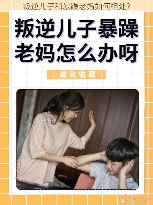 叛逆儿子和暴躁老妈如何相处？