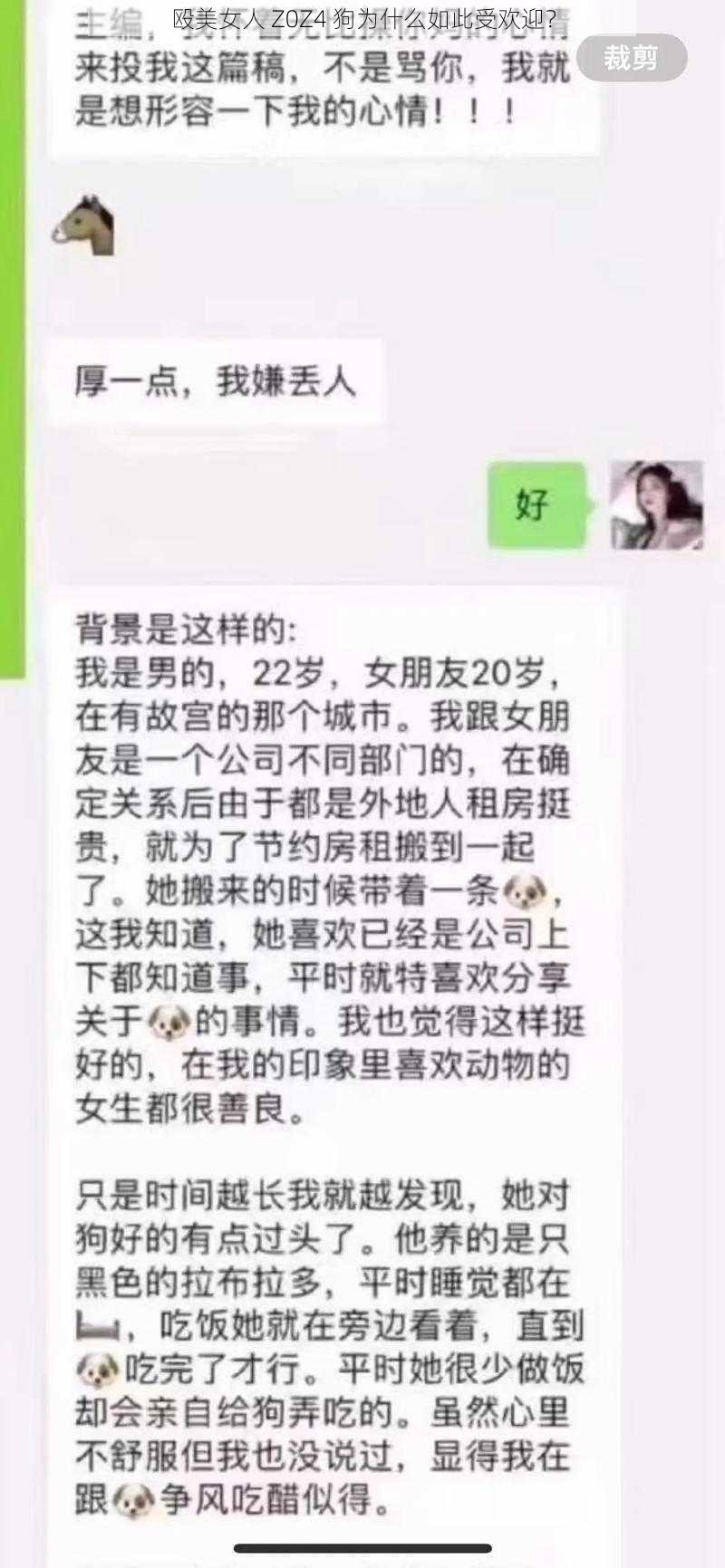 殴美女人 Z0Z4 狗为什么如此受欢迎？