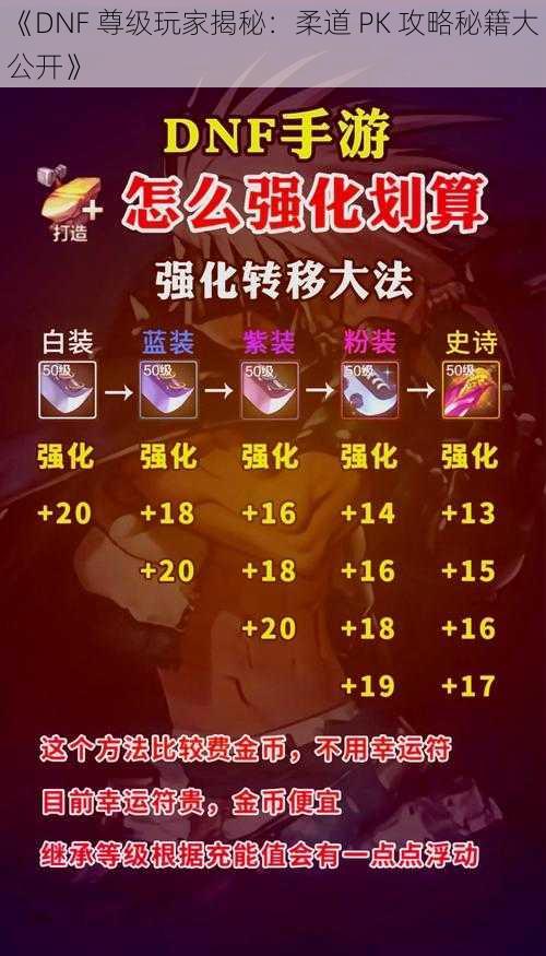 《DNF 尊级玩家揭秘：柔道 PK 攻略秘籍大公开》