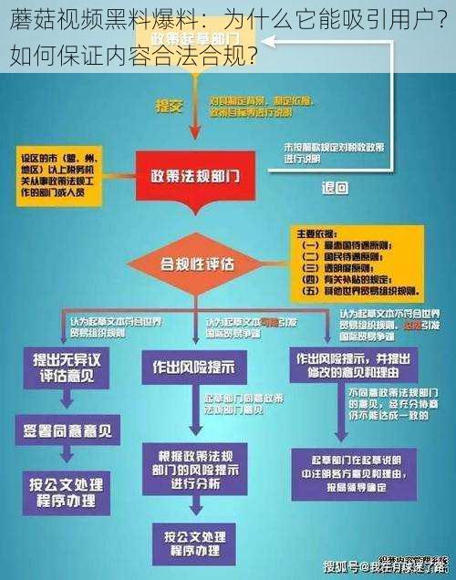 蘑菇视频黑料爆料：为什么它能吸引用户？如何保证内容合法合规？