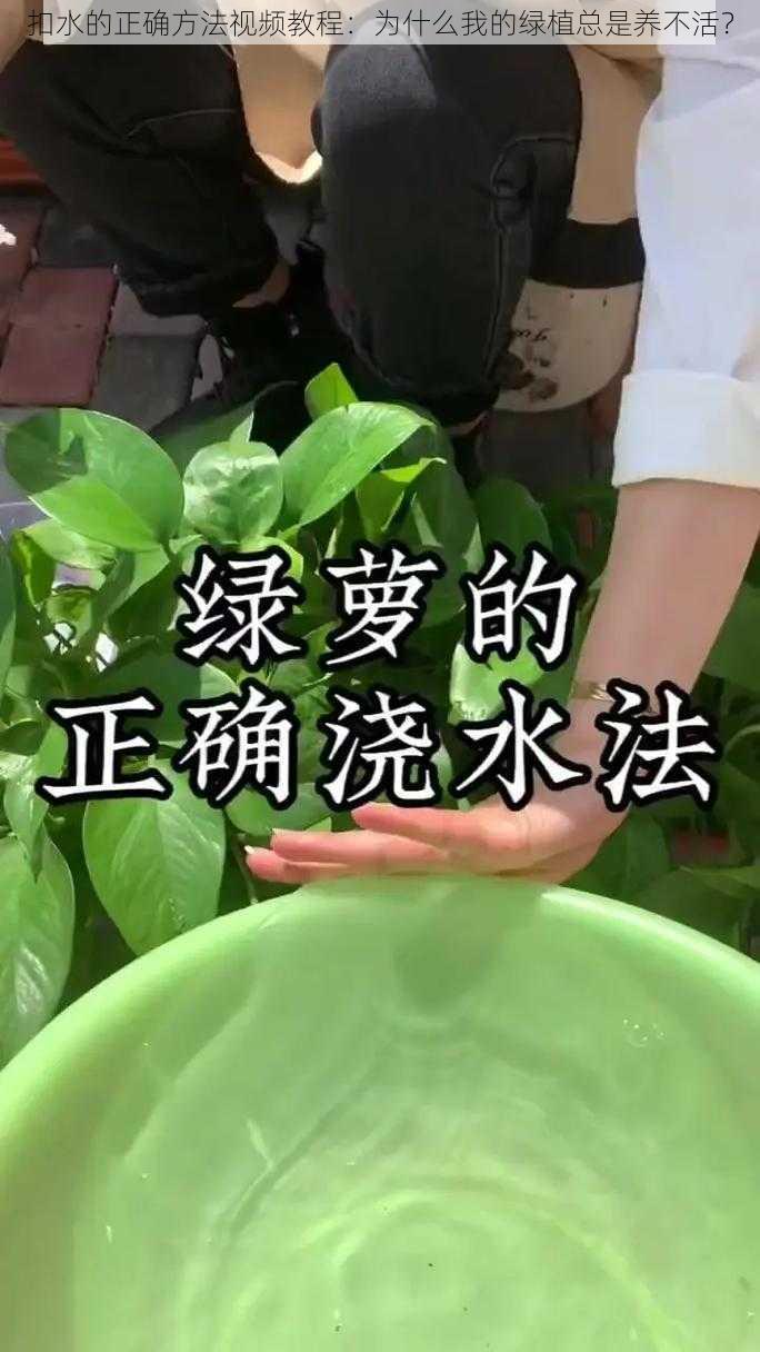 扣水的正确方法视频教程：为什么我的绿植总是养不活？