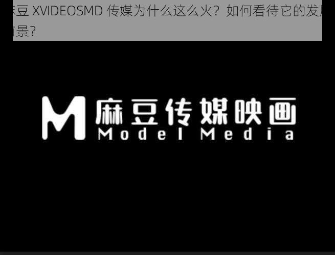 麻豆 XVIDEOSMD 传媒为什么这么火？如何看待它的发展前景？