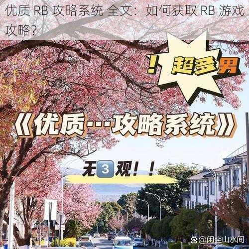 优质 RB 攻略系统 全文：如何获取 RB 游戏攻略？