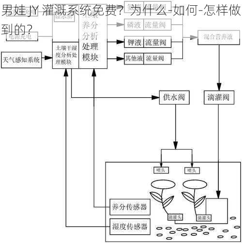 男娃 JY 灌溉系统免费？为什么-如何-怎样做到的？