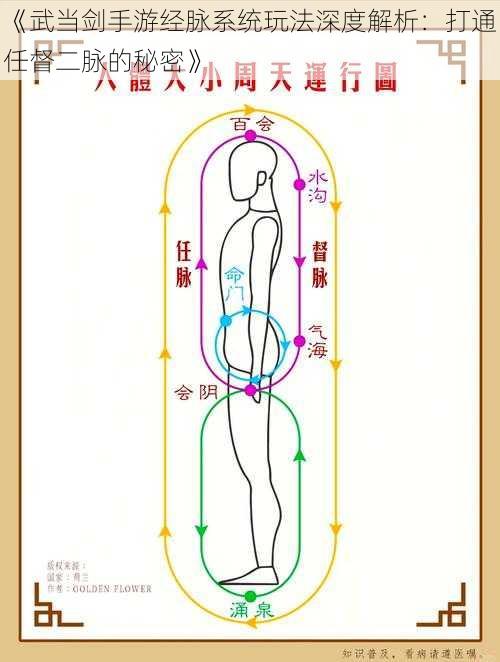 《武当剑手游经脉系统玩法深度解析：打通任督二脉的秘密》