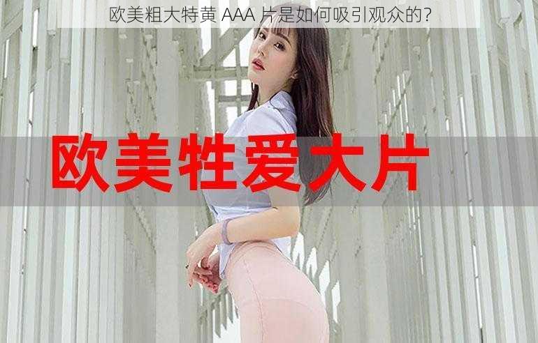 欧美粗大特黄 AAA 片是如何吸引观众的？