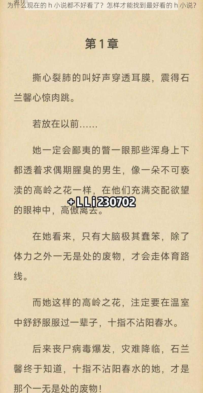 为什么现在的 h 小说都不好看了？怎样才能找到最好看的 h 小说？