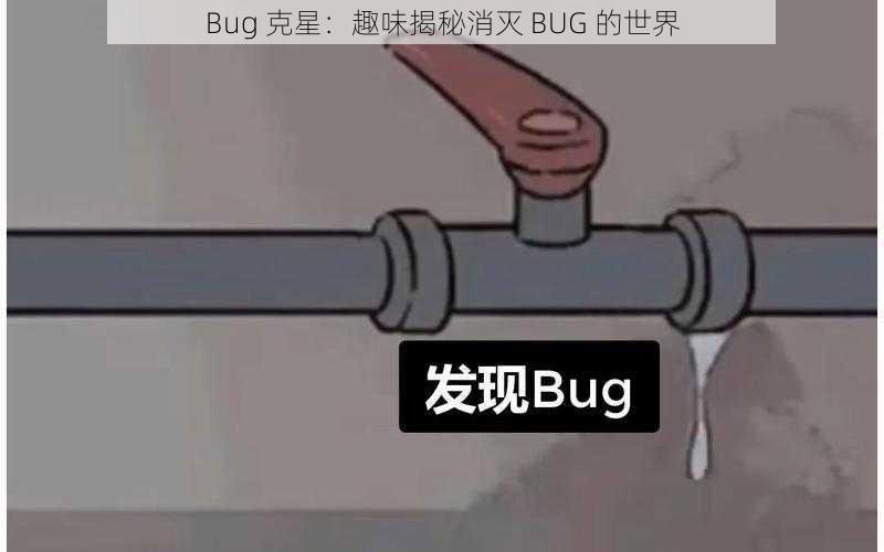 Bug 克星：趣味揭秘消灭 BUG 的世界