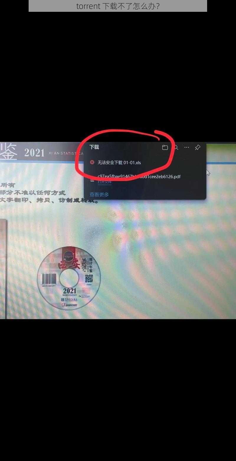 torrent 下载不了怎么办？