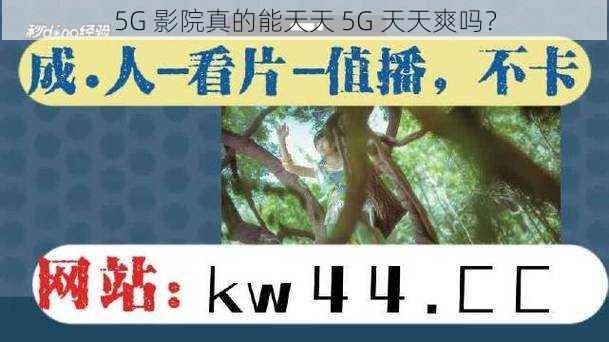 5G 影院真的能天天 5G 天天爽吗？