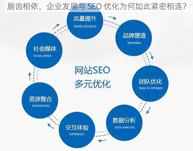 唇齿相依，企业发展与 SEO 优化为何如此紧密相连？