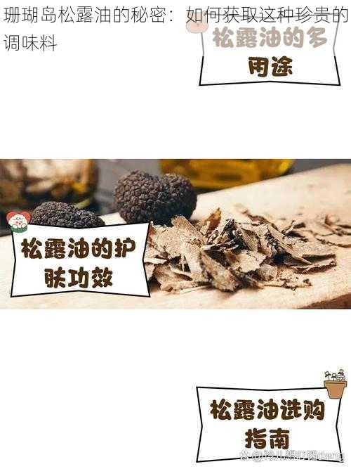 珊瑚岛松露油的秘密：如何获取这种珍贵的调味料