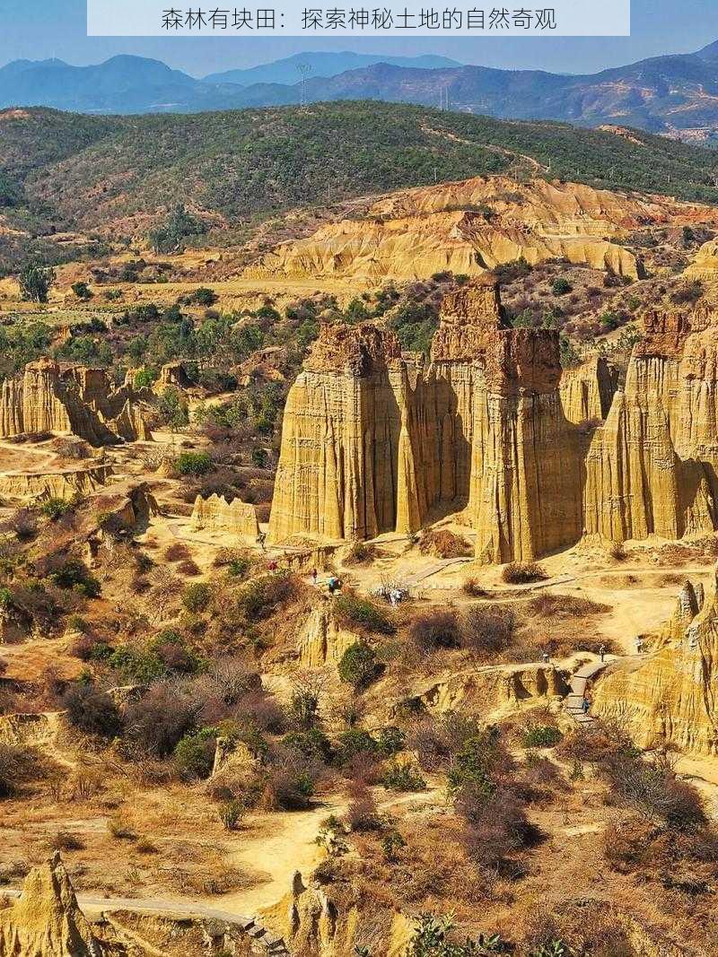 森林有块田：探索神秘土地的自然奇观