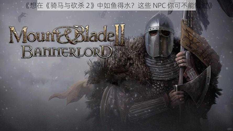 《想在《骑马与砍杀 2》中如鱼得水？这些 NPC 你可不能错过》