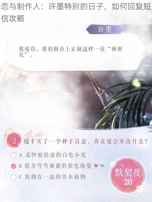 恋与制作人：许墨特别的日子，如何回复短信攻略