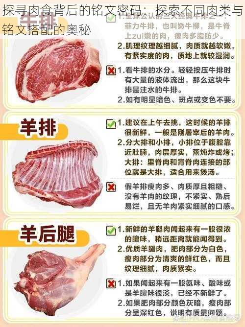 探寻肉食背后的铭文密码：探索不同肉类与铭文搭配的奥秘