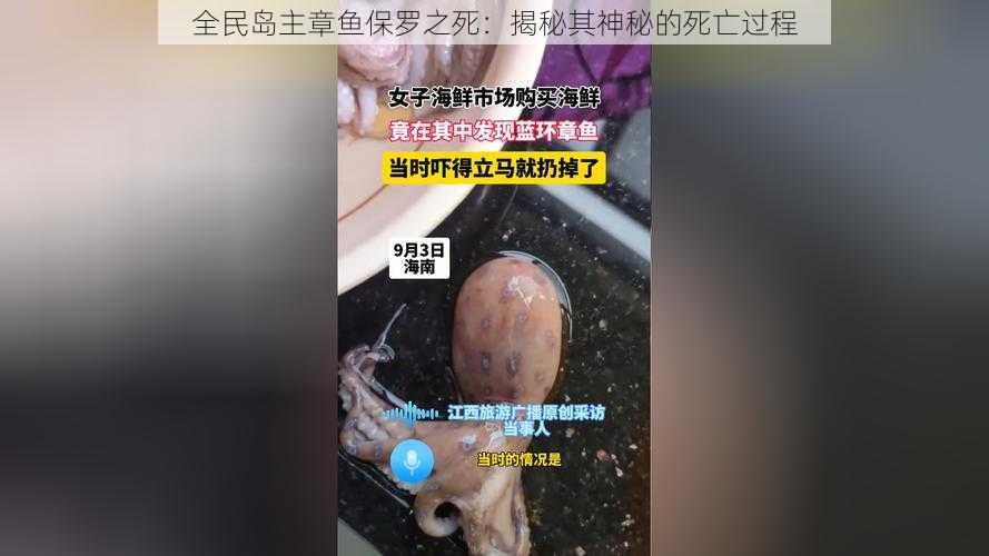 全民岛主章鱼保罗之死：揭秘其神秘的死亡过程