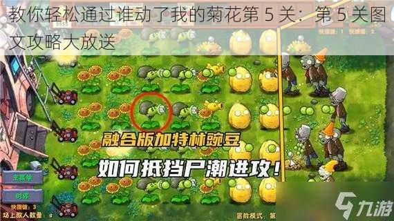 教你轻松通过谁动了我的菊花第 5 关：第 5 关图文攻略大放送