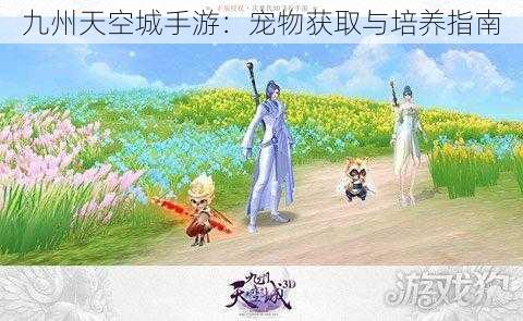 九州天空城手游：宠物获取与培养指南