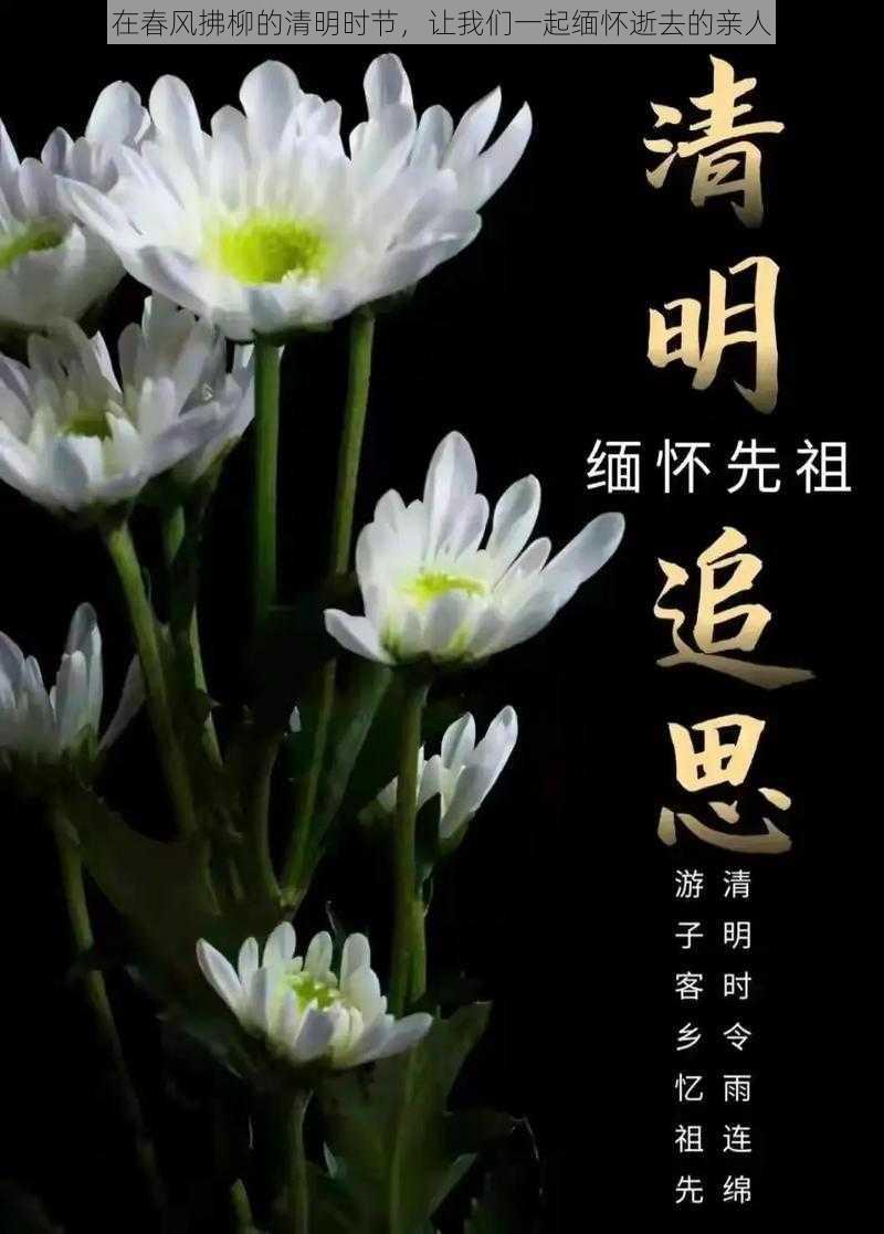 在春风拂柳的清明时节，让我们一起缅怀逝去的亲人