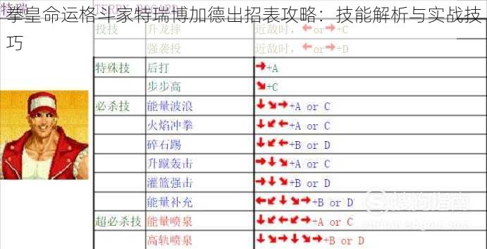 拳皇命运格斗家特瑞博加德出招表攻略：技能解析与实战技巧