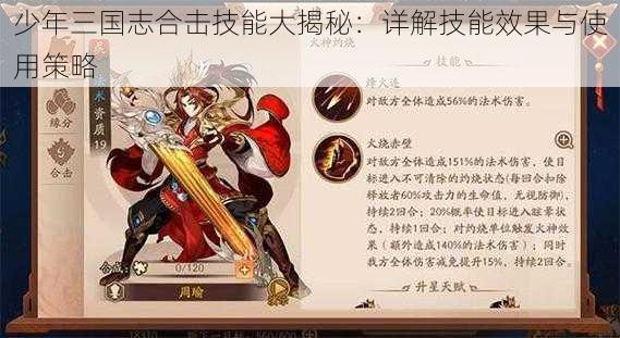 少年三国志合击技能大揭秘：详解技能效果与使用策略